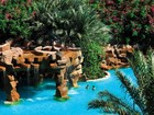 6 BARON PALMS-pool waterfalls.jpg