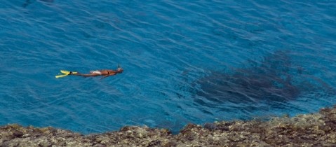 swimmer1.jpg - Nile Cruise & Hurghada 14 nts