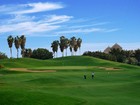 1553610100006-Dreamland Golf Course.jpg