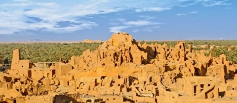 shali intro.jpg - Siwa