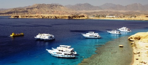 sharmelsheikh caro.jpg - Destinations & Resorts