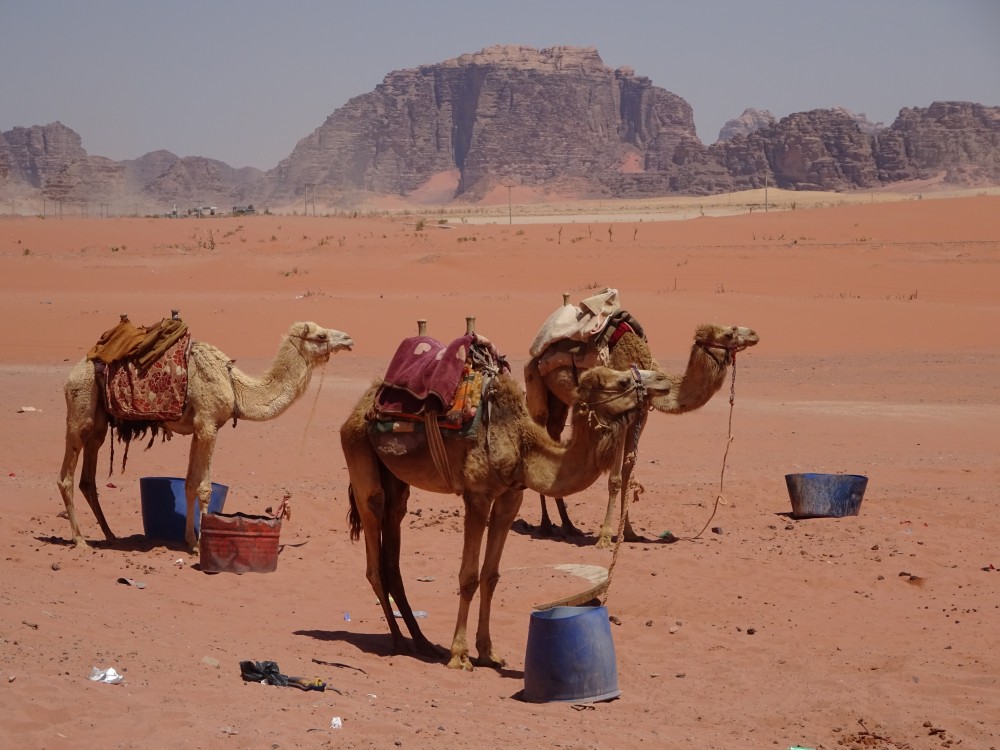 DSC00197.JPG - Wadi Rum