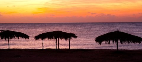 Marsa Banner.jpg - Marsa Alam